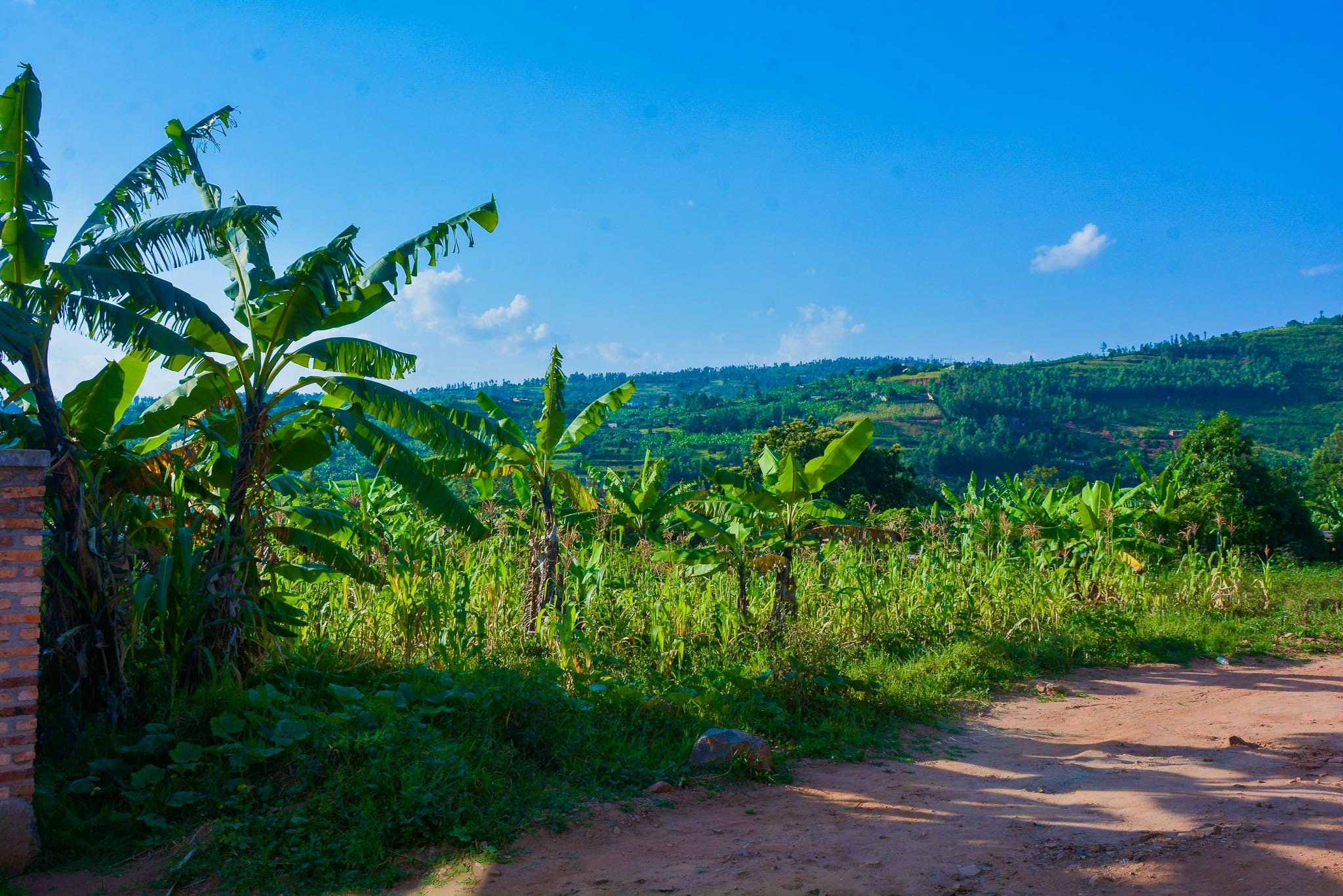 Prime Residential Development Opportunity – Gasogi